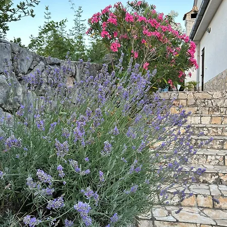Апартаменты Mestrovic, Klimno, Soline Bay, Island Krk *